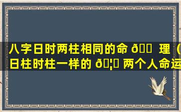 八字日时两柱相同的命 🐠 理（日柱时柱一样的 🦈 两个人命运是什么）